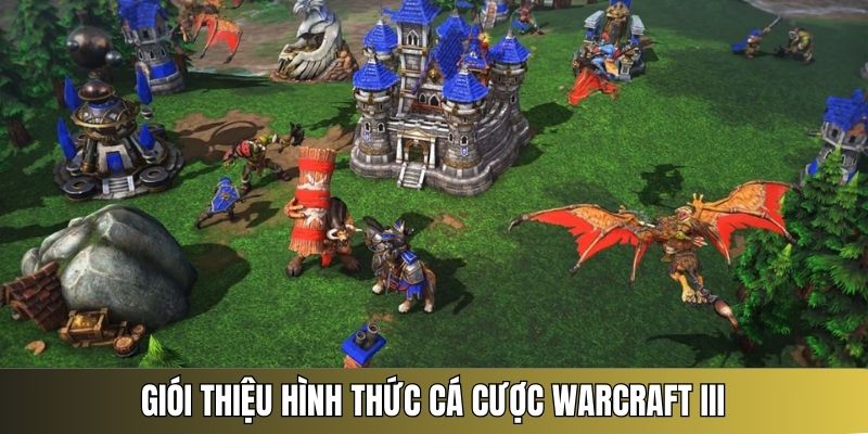 cá độ warcraft 3