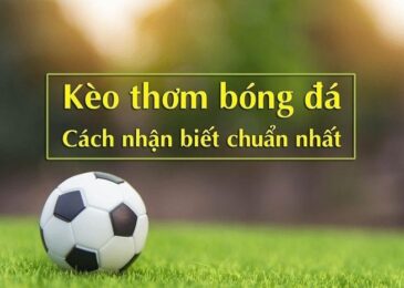cách chọn kèo bóng đá