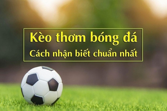 cách chọn kèo bóng đá