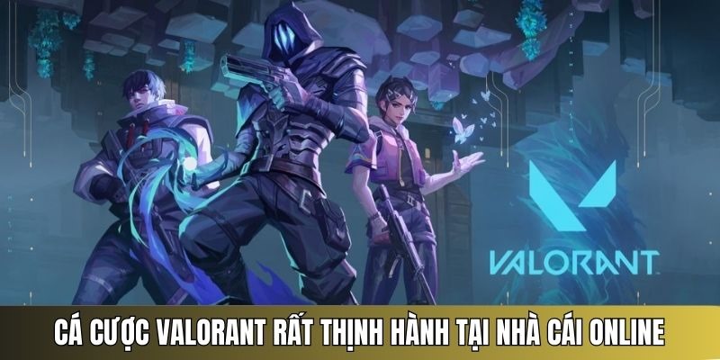 chơi cá độ valorant