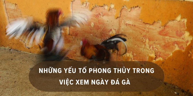 đá gà theo 12 con giáp