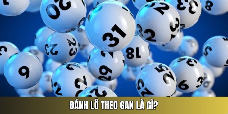 dự đoán lô theo gan