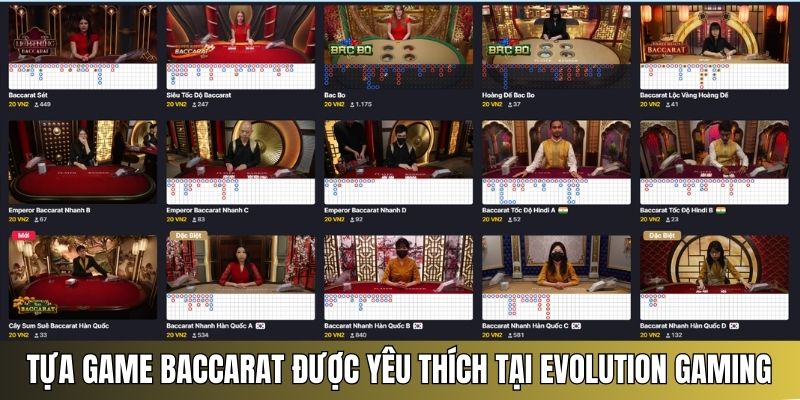 nhà cung cấp trò chơi Evolution Gaming
