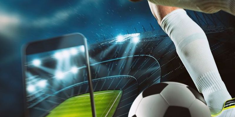 odds là gì trong cá độ bóng đá