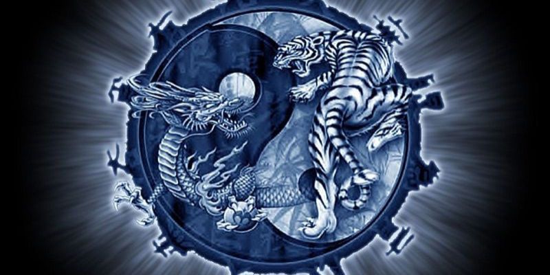 soi cầu rồng hổ