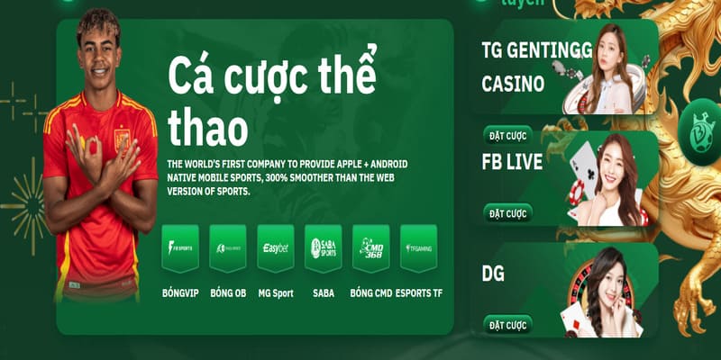 Đánh giá vài thông tin cơ bản của thương hiệu