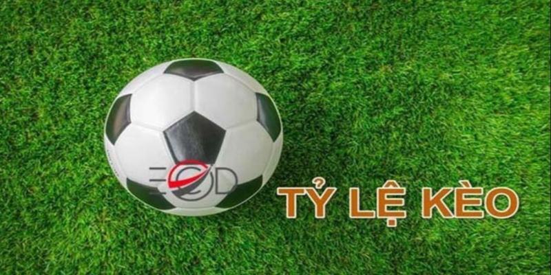 Tỷ lệ kèo nhà cái